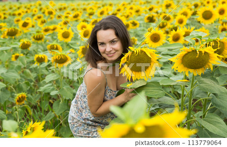 Girl in sunflowers field 113779064