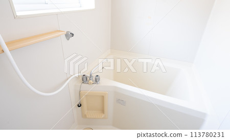 Apartment and condominium interior 113780231