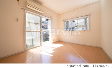 Apartment and condominium interior 113780239