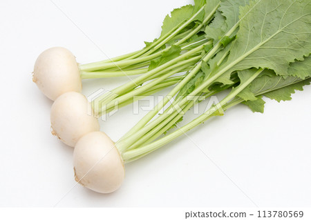 小蘿蔔 113780569
