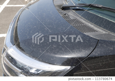 汽車引擎蓋上沾滿黃色灰塵 113780674