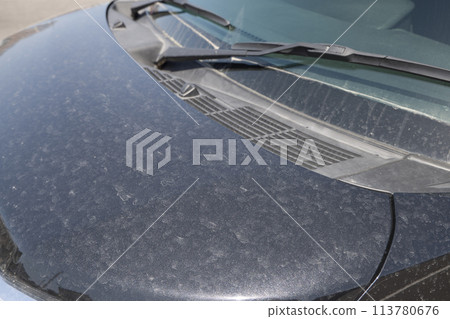 汽車引擎蓋上沾滿黃色灰塵 113780676