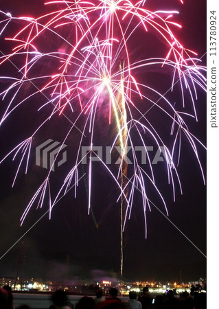 Fireworks dancing in the night sky 113780924