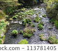 Shiraito Falls Spring tourism Sakura season travel 113781405