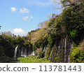 Shiraito Falls Spring tourism Sakura season travel 113781443