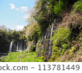 Shiraito Falls Spring tourism Sakura season travel 113781449