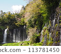 Shiraito Falls Spring tourism Sakura season travel 113781450
