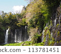 Shiraito Falls Spring tourism Sakura season travel 113781451