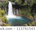 Shiraito Falls with a beautiful rainbow. Spring tourism. Sakura season. 113781543