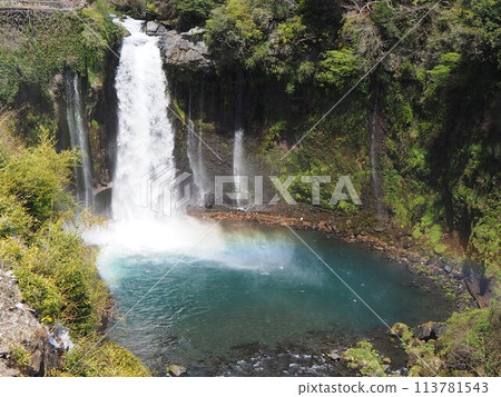Shiraito Falls with a beautiful rainbow. Spring tourism. Sakura season. 113781543