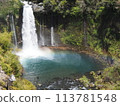 Shiraito Falls with a beautiful rainbow Spring tourism Sakura season 113781548