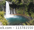 Shiraito Falls with a beautiful rainbow. Spring tourism. Sakura season. 113781550