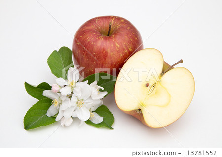 Sun Fuji (flowers and fruit) Sun Fuji (flowers and fruit) 113781552