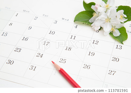 Calendar and red pencil 113781591