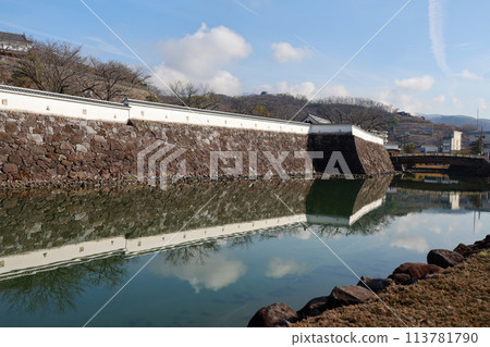 Maizuru Castle Park, Kofu City, Yamanashi Prefecture 113781790