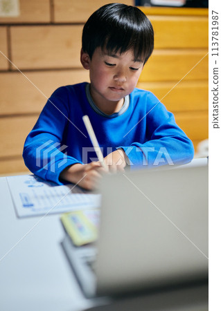 Elementary school boy studying Japanese in online class 113781987