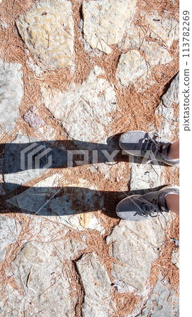 From above, an image shows a woman's feet in gray sneakers navigating a stone path covered in dry pine needles. From above, an image shows a woman's feet in gray sneakers navigating a stone path covered in dry pine needles. 113782269