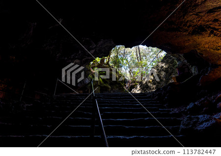 Scenery of the Narusawa Ice Cave, where ice can be stored even in midsummer Scenery of the Narusawa Ice Cave, where ice can be stored even in midsummer 113782447