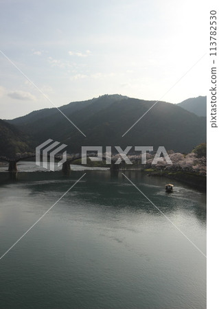 「錦帶橋與櫻花」山口縣岩國市的櫻花特寫#日本旅遊錦帶橋 「錦帶橋與櫻花」山口縣岩國市的櫻花特寫#日本旅遊錦帶橋 113782530