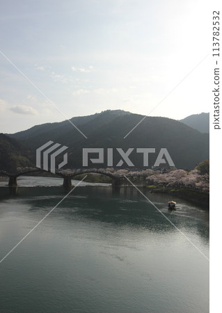 「錦帶橋與櫻花」山口縣岩國市的櫻花特寫#日本旅遊錦帶橋 「錦帶橋與櫻花」山口縣岩國市的櫻花特寫#日本旅遊錦帶橋 113782532