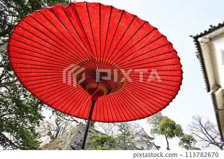 彥根城堡在春天 彥根城堡在春天 113782670