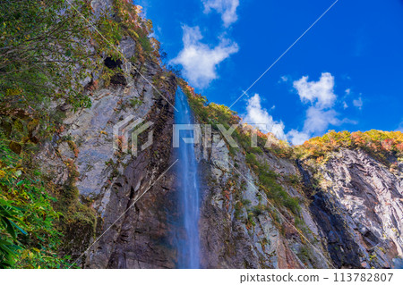 (Nagano Prefecture) Yonago Falls during autumn 113782807