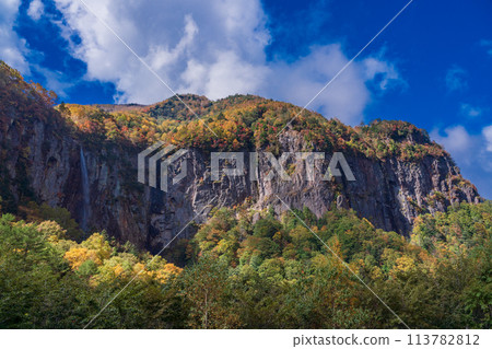 (Nagano Prefecture) Yonago Falls during autumn (Nagano Prefecture) Yonago Falls during autumn 113782812