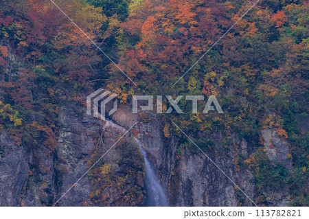 （長野縣）紅葉季節的米子大瀑布 113782821