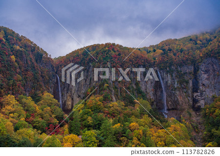 (Nagano Prefecture) Yonago Falls during autumn (Nagano Prefecture) Yonago Falls during autumn 113782826