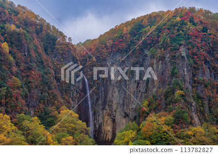 (Nagano Prefecture) Yonago Falls during autumn (Nagano Prefecture) Yonago Falls during autumn 113782827