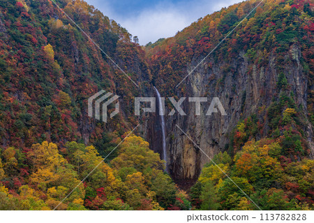 (Nagano Prefecture) Yonago Falls during autumn (Nagano Prefecture) Yonago Falls during autumn 113782828