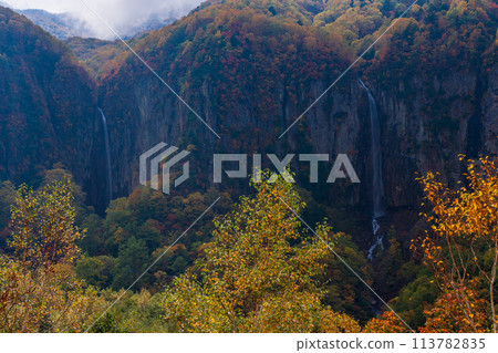 (Nagano Prefecture) Yonago Falls during autumn (Nagano Prefecture) Yonago Falls during autumn 113782835