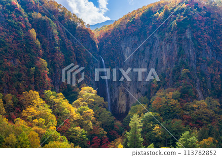 (Nagano Prefecture) Yonago Falls during autumn 113782852
