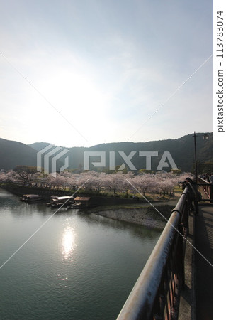 「錦帶橋與櫻花」櫻花關閉 日本旅遊局 山口縣岩國市 #Japan Tourism Kintai Bridge 「錦帶橋與櫻花」櫻花關閉 日本旅遊局 山口縣岩國市 #Japan Tourism Kintai Bridge 113783074