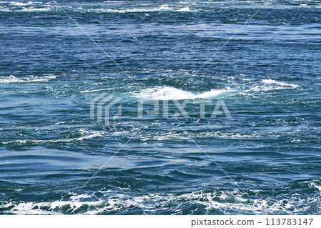 從觀光船上看到的漩渦 鳴門海峽的漩渦 鳴門漩渦 圖片素材 113783147