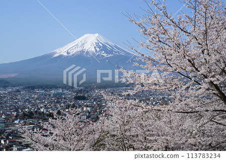 富士山和盛開的櫻花 富士山和盛開的櫻花 113783234