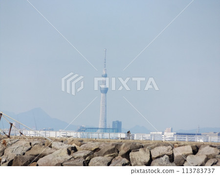 Sky Tree seen from Inagekaigan across Tokyo Bay 113783737