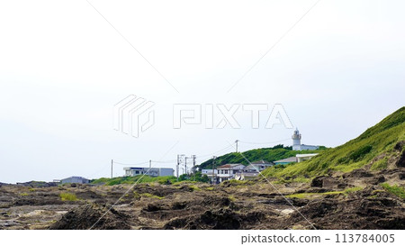 Scenery of Jogashima coast seen from a hill Scenery of Jogashima coast seen from a hill 113784005