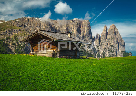 Wooden log house on the green field in Dolomites Wooden log house on the green field in Dolomites 113784253