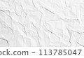 皺紋紙紋理 113785047