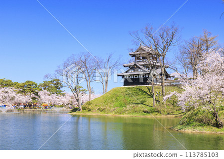 高田城堡遺址公園盛開 高田城堡遺址公園盛開 113785103