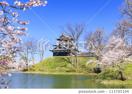 Takada Castle Ruins Park in full bloom of cherry blossoms Takada Castle Ruins Park in full bloom of cherry blossoms 113785104