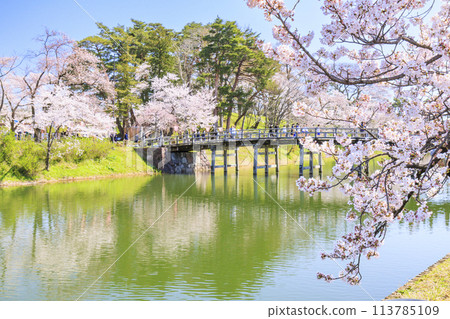 高田城堡遺址公園盛開 高田城堡遺址公園盛開 113785109