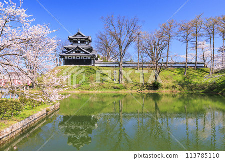 高田城堡遺址公園盛開 高田城堡遺址公園盛開 113785110