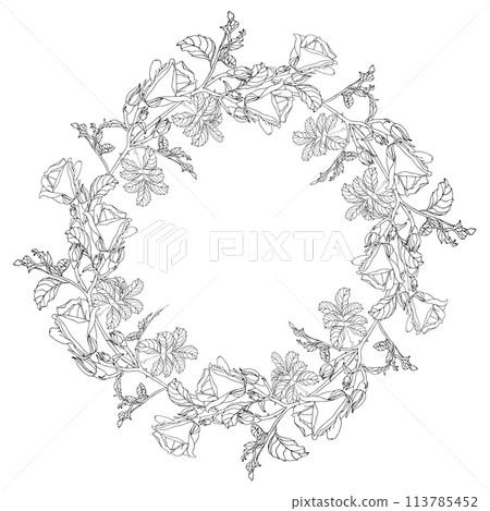 Wild roses flower with leaves circle wreath. Black ink line art hand drawn illustration for card, logo or wedding invitations, coloring book. Elegance vector, isolated on white background 113785452