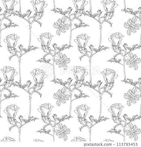 Little roses flower with leaves. Black ink line art hand drawn branch elements seamless pattern for textile, floral greenery for surface design of fabric, wallpaper, scrapbook. Vector background Little roses flower with leaves. Black ink line art hand drawn branch elements seamless pattern for textile, floral greenery for surface design of fabric, wallpaper, scrapbook. Vector background 113785453