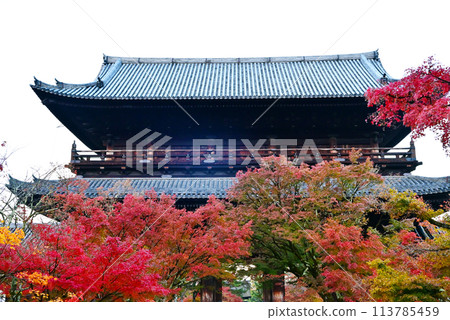 南禪寺三門落滿了紅葉，是京都的紅葉名勝，也是賞紅葉的風景勝地。 113785459