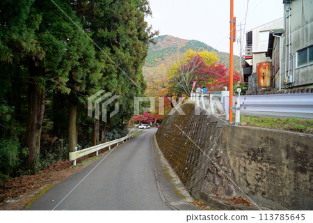 Beautiful autumn leaves_Momiji Valley 113785645