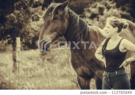 Jockey woman walking with horse on meadow 113785849
