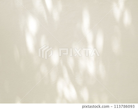 Abstract shadow of leaves in earth tone colors on concrete wall texture background 113786093